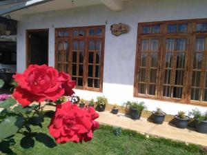a red rose sitting in front of a window in front of a house at AGP home in Nuwara Eliya