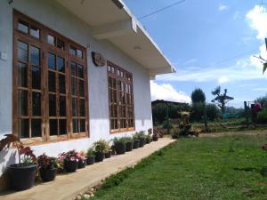 Vườn quanh AGP home