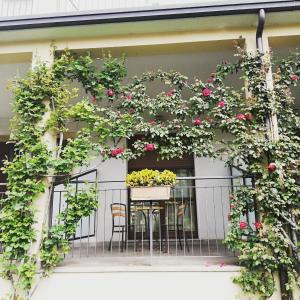 a balcony with a table and flowers on it at Hotel Fioroni in Bellagio