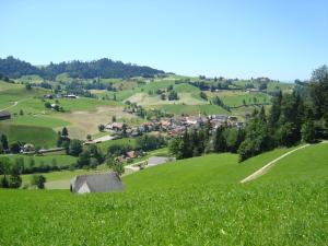 ein grüner Hügel mit einem Dorf in der Ferne in der Unterkunft Gasthof Krone in Luthern