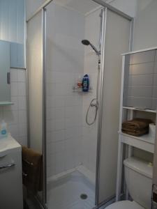 a shower with a glass door in a bathroom at La Marguerite sur Gartempe in Châteauponsac