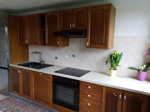 Kuchyňa alebo kuchynka v ubytovaní Villa Roza