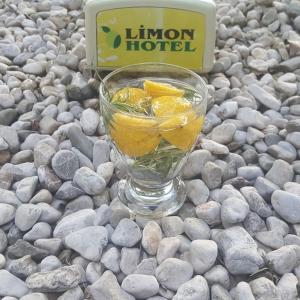 a glass bowl of lemons on a pile of rocks at Limon Hotel in Fethiye