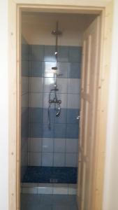 a shower with a shower head in a bathroom at Penzion L´isola in Kunžak +21 photos