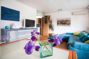 TV a/nebo společenská místnost v ubytování Sunny Garden