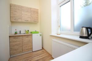 Kuchnia lub aneks kuchenny w obiekcie Apartamenty Trzciana