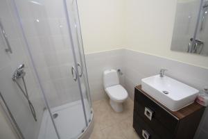 Łazienka w obiekcie Apartamenty Trzciana