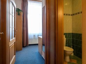 Ένα μπάνιο στο Hotel Olympia Česká Lípa