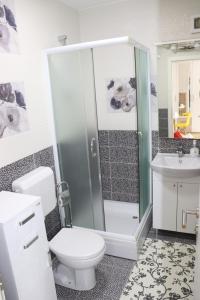 a bathroom with a shower and a toilet and a sink at Apartman Studio 2 in Brčko +8 photos