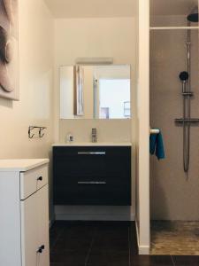 a bathroom with a sink and a mirror at VILLA BIRDS in Boran-sur-Oise