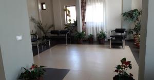 una sala de espera con sillas y plantas en el suelo en Pensiunea Arido, en Cornu de Jos