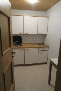 A kitchen or kitchenette at Residence Scheidnerhof