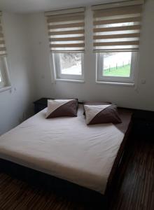 a bedroom with a bed with two pillows and two windows at Nadia's home in Ilidža