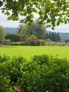 un campo de césped verde con árboles en el fondo en FOUR DE CONY, en Saumane-de-Vaucluse
