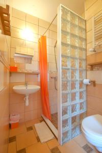 a bathroom with a shower and a sink at Hubertus Pokoje Gościnne in Sienna