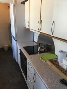 a kitchen with a stove and a refrigerator at Lerbæk Hovedgaard in Frederikshavn