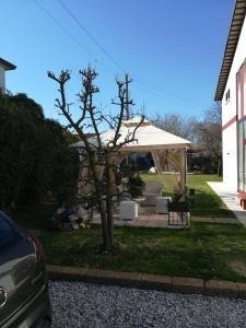 a tree in front of a tent in a yard at Casa Degli Amici in Treviso