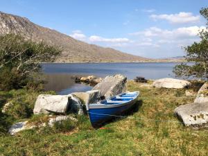 Природа в окрестностях дома для отпуска