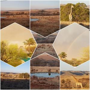 Fotografie z fotogalerie ubytování Rocky Aloe Escape v destinaci Krugersdorp