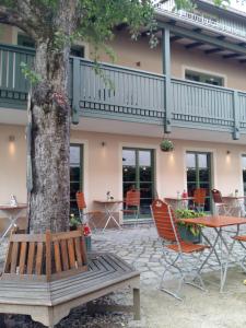 a tree with chairs and a table in front of a building at Wirtshaus Sonnenhof in Radebeul