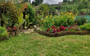 un jardín con flores de colores en la hierba en Kings Cottage Nuwara Eliya, en Nuwara Eliya