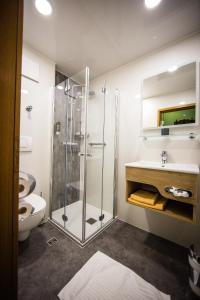 a bathroom with a shower and a sink and a toilet at Hotel Rössle in Freiberg am Neckar