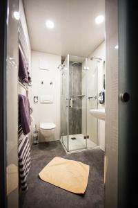 a bathroom with a shower and a toilet and a sink at Hotel Rössle in Freiberg am Neckar