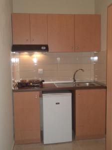 uma pequena cozinha com um lavatório e uma máquina de lavar louça em Hotel Dioni em Paralia Katerinis