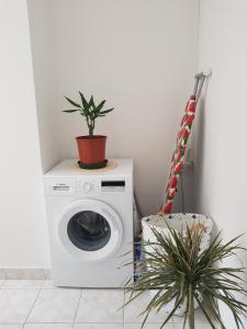 Fotografie z fotogalerie ubytování Bol Apartment Keka v destinaci Bol