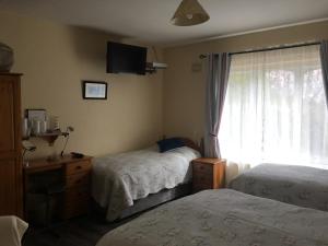 a bedroom with two beds and a window at Killurin Lodge in Wexford