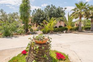 A garden outside Villa Pula Viñas Country villa 3 bedrooms pool and fabulous views of the Pula golf course near Son servera