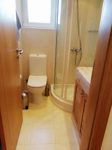 a bathroom with a toilet and a shower at Moradia São Pedro in Porto Santo +11 photos