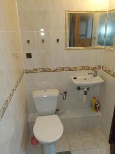 Koupelna v ubytování Apartmany Pohořaly