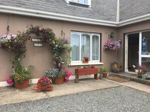 a house with potted plants on the side of it at Killurin Lodge in Wexford