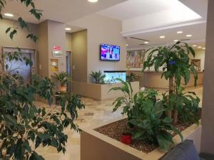 a hospital lobby with potted plants and a tv at Hotel Touring in Falconara Marittima
