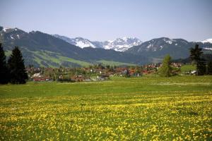 um campo de flores amarelas com montanhas ao fundo em Chaletwohnung Seeblick em Oy-Mittelberg
