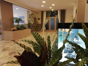 a room with a fish tank and a plant at Hotel Touring in Falconara Marittima