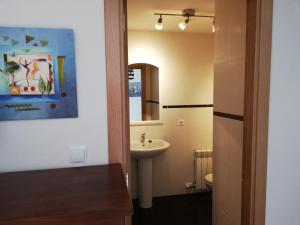 Kylpyhuone majoituspaikassa MESONES 7