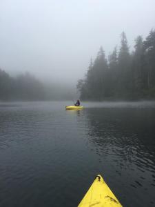 a person in a yellow kayak in the water at Itty Bitty Inn in North Bend