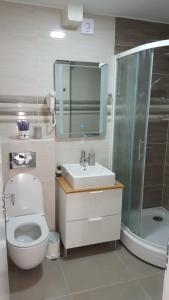 een badkamer met een toilet, een wastafel en een douche bij Apartmants Katica in Novalja