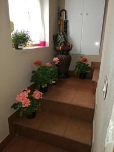 Fotografie z fotogalerie ubytování El Mirador 2 v destinaci Paralacuesta