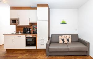 Kuchyň nebo kuchyňský kout v ubytování Appartement Pension Albert summercard and free parking included