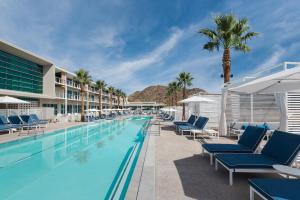 スコッツデールにあるMountain Shadows Resort Scottsdaleのリゾートのプール(ラウンジチェア、ヤシの木付)