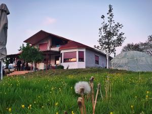 Gallery image of The House in the Meadow in Ioannina