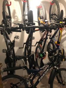 Jazda na bicykli v okolí ubytovania Appartamento L’Anzolim