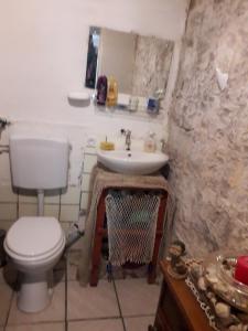a bathroom with a toilet and a sink at Holiday home Stiniva in Vis