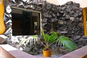 Gallery image of Hotel Bohemia in Lima