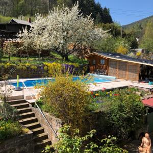 a garden with a swimming pool and a house at Ferienwohnungen Ries in EuÃŸerthal