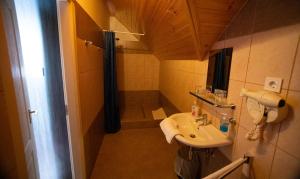 a small bathroom with a sink and a shower at Kamarás Ring House in Mogyoród