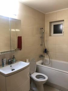 a bathroom with a toilet and a sink and a bath tub at House of Laura in Băile Tuşnad